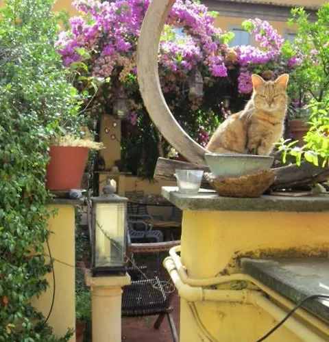 Sleep In Campo De Fiori לינה וארוחת בוקר רומא